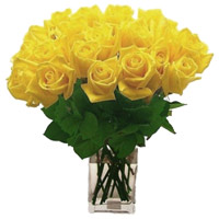 Flowers to Delhi : Yellow Roses