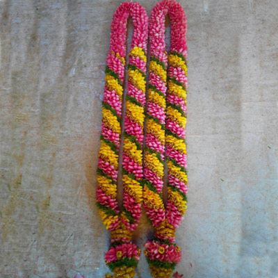 Send Flowers to Delhi