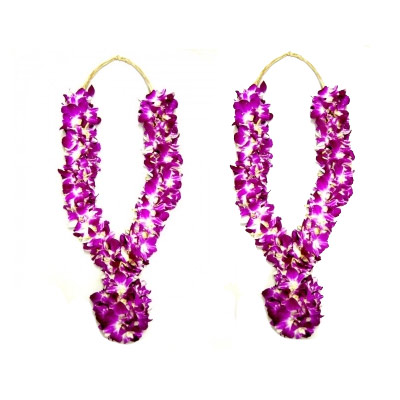 Send Flowers to Delhi