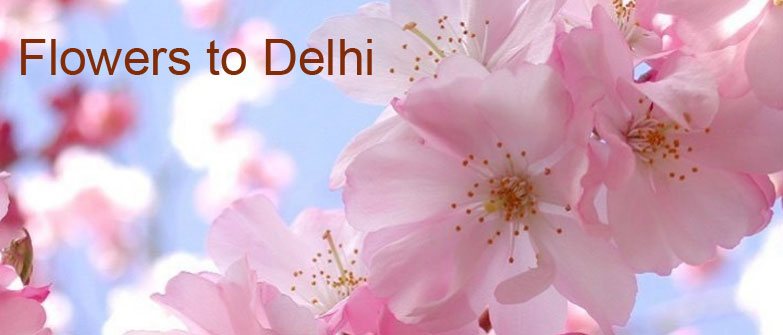 Flower Delivery in Delhi Dilshad Garden